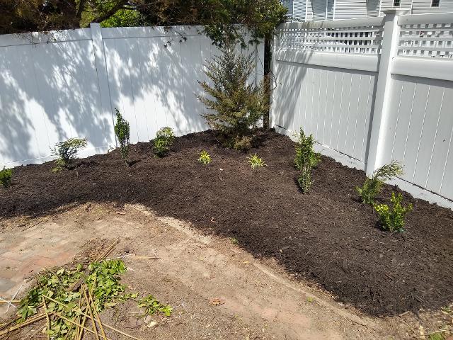 433: More mulch and green stuff...