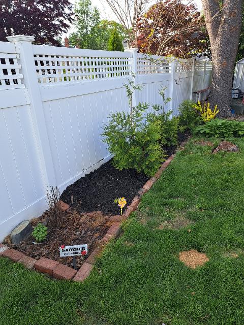 458: Added another mulch bed along the fence.  We'll plant a small vegetable garden here too.